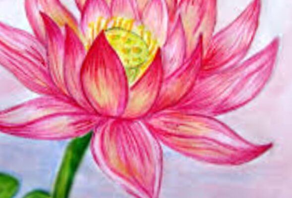 Zentangle Art: Lotus