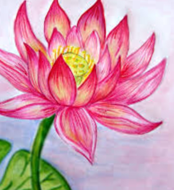 Zentangle Art: Lotus