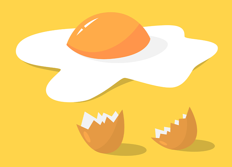 The Egg