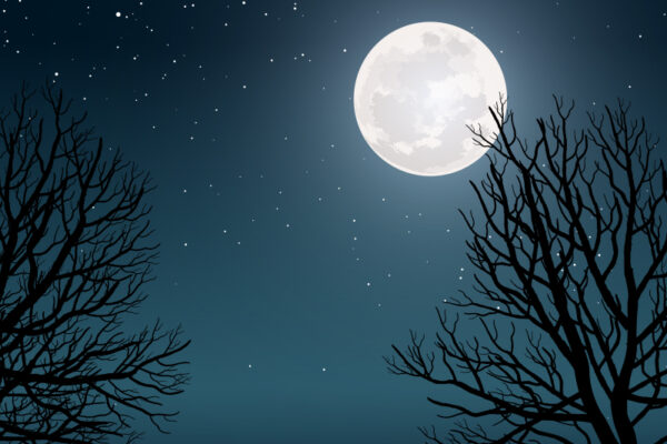 The Moon