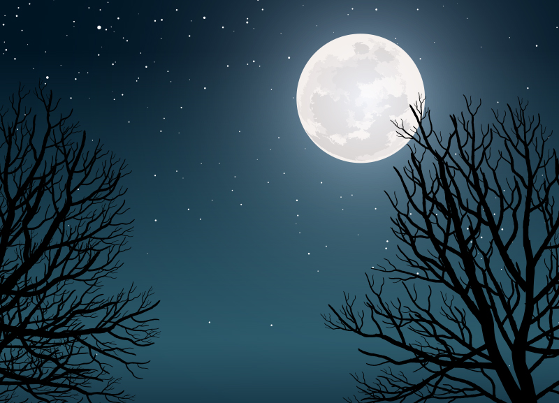The Moon