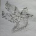 The Flying Robin