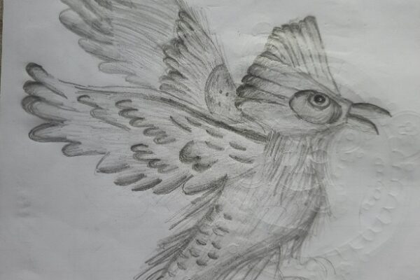 The Flying Robin