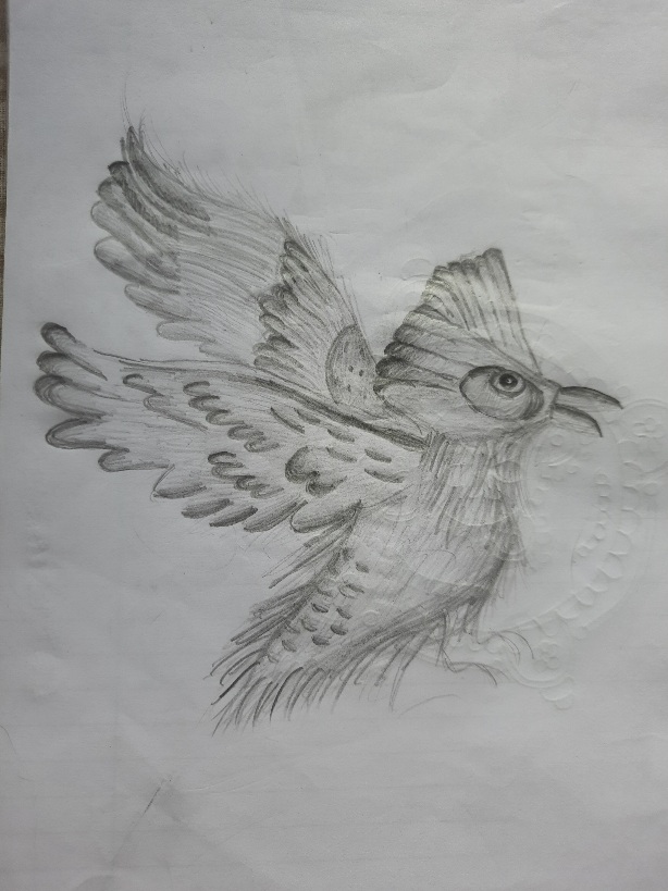 The Flying Robin