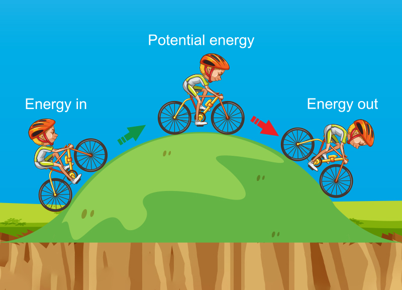 What Is the Law of Conservation of Energy? 