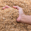 Homes Created from Husk  