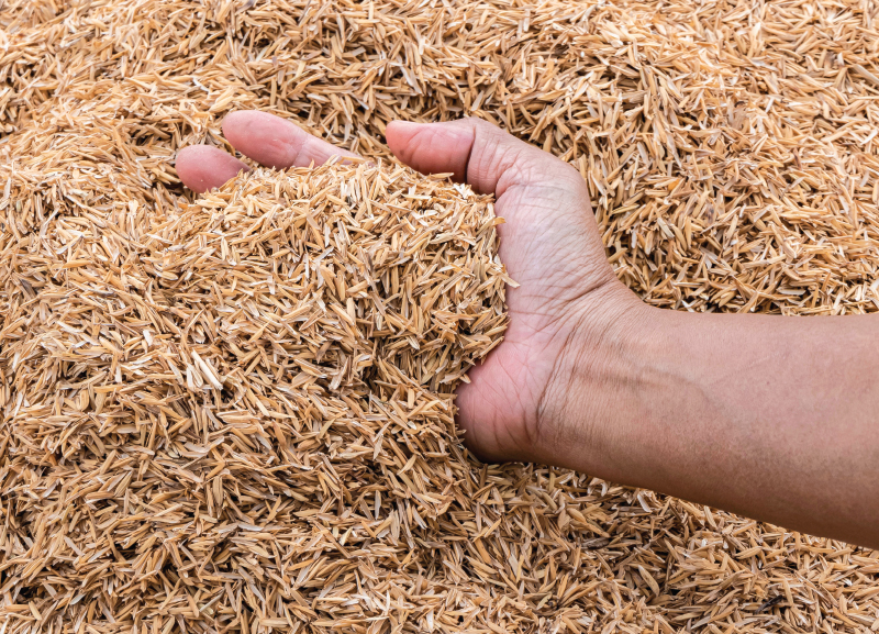 Homes Created from Husk  