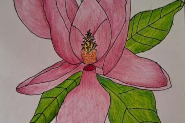 Pink Flower