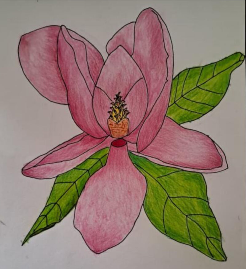 Pink Flower