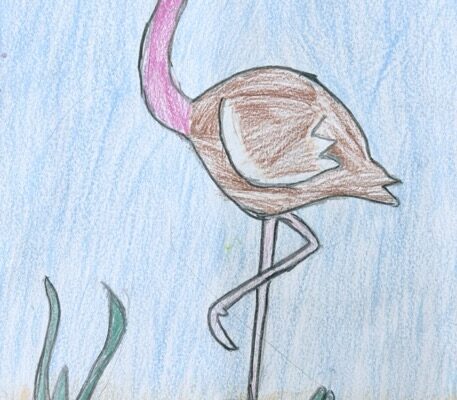 Ostrich