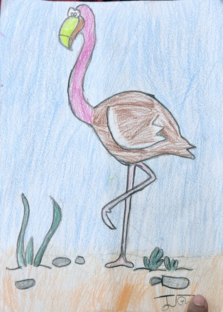 Ostrich
