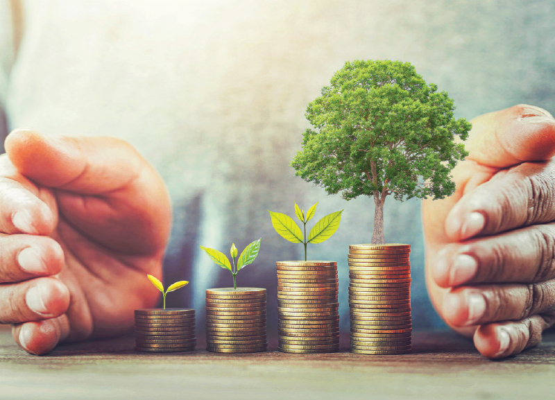 Let Your Money Work for You!