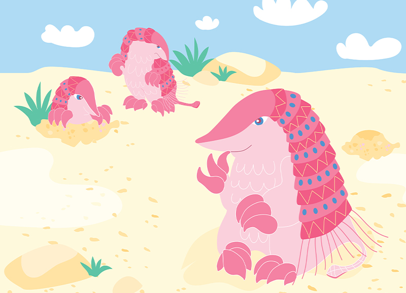 The Endangered Species of Pink Fairy Armadillos