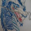 Ocean Dragon