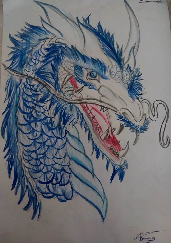 Ocean Dragon