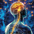 Light Emitted by the Brain 