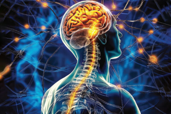 Light Emitted by the Brain 