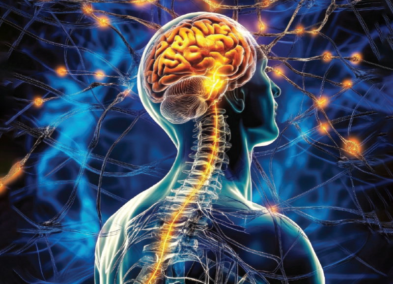 Light Emitted by the Brain 