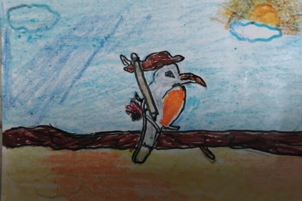 RobinAge Bird