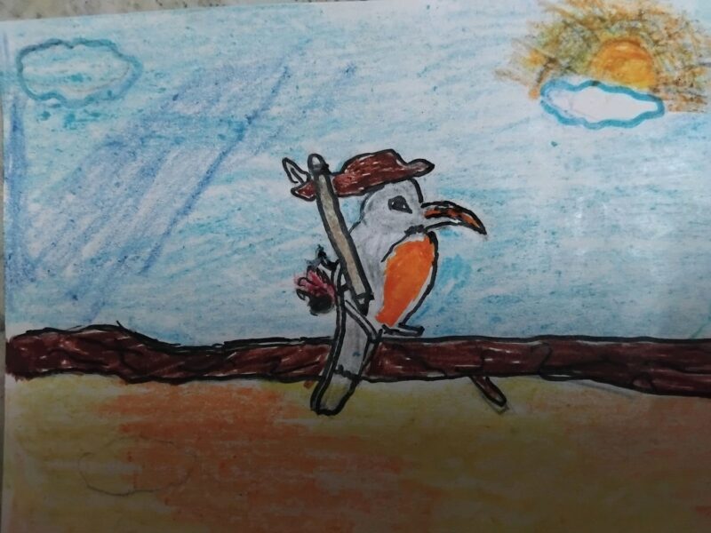 RobinAge Bird
