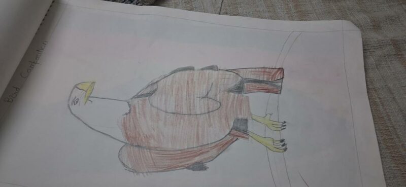 Bird
