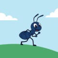 An Ant’s Adventure
