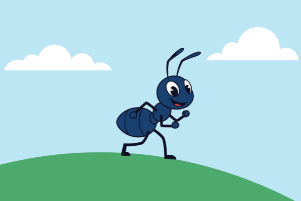 An Ant’s Adventure