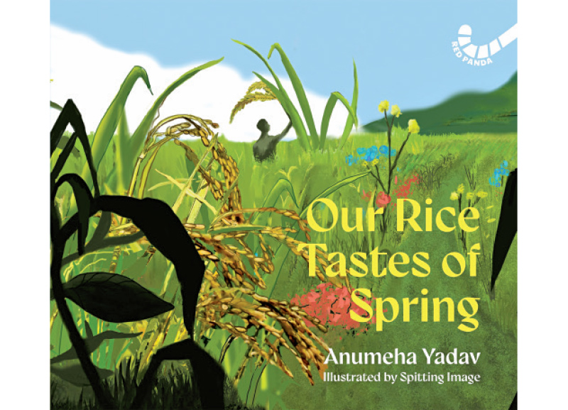 Books for the Holidays