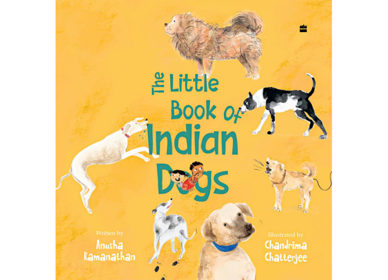 Books for the Holidays