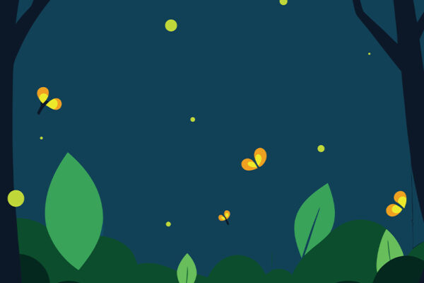 Cities Made of Fireflies