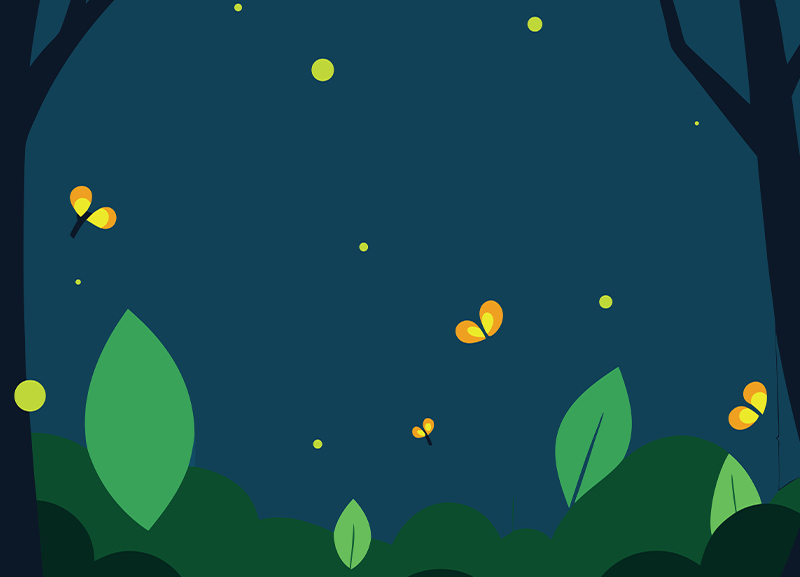 Cities Made of Fireflies