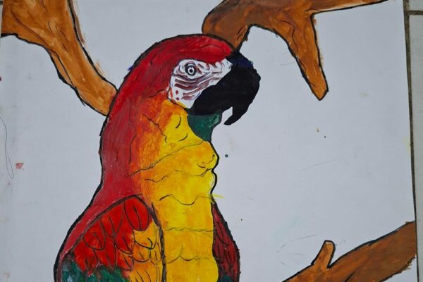 Macaws: Feathered Rainbows