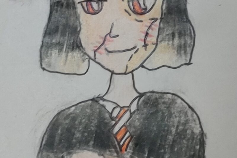 Vellora Potter: My Dream Fiction Hero