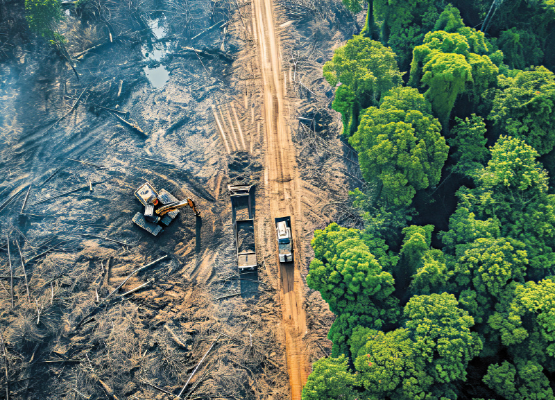 Infrastructure Impacts Environment 