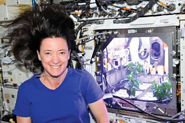 NASA Astronaut Megan McArthur Retires