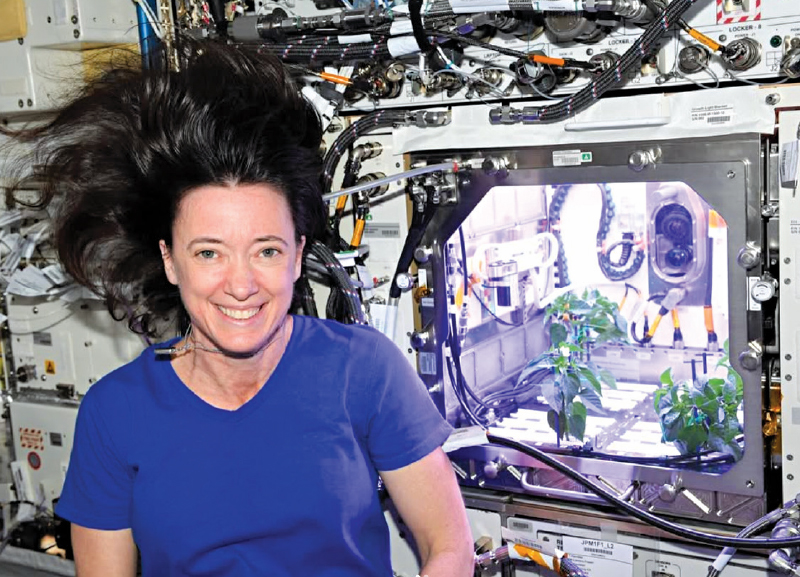 NASA Astronaut Megan McArthur Retires