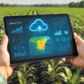 AI Helps Farmers to Schedule Sowing