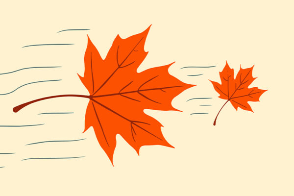 The Anatomy of a Falling Leaf
