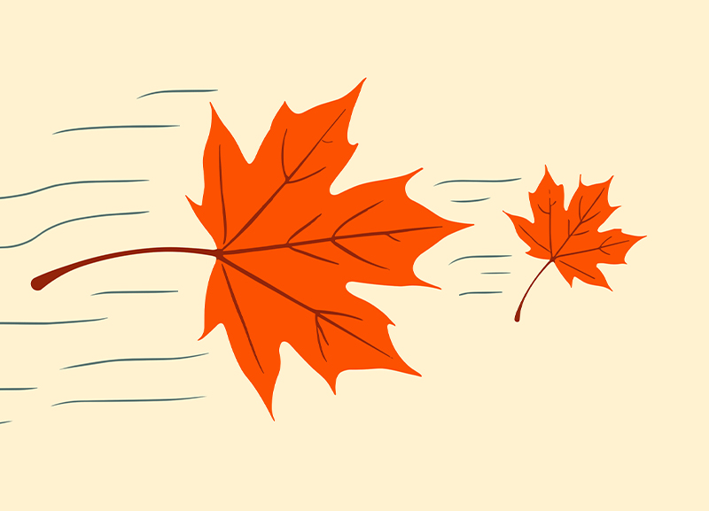 The Anatomy of a Falling Leaf