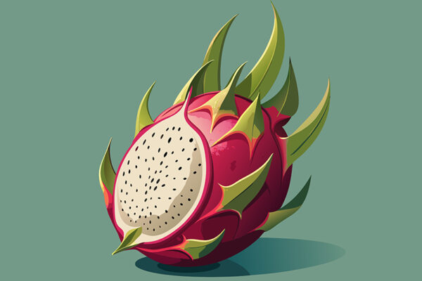 The Dragonfruit’s Lament