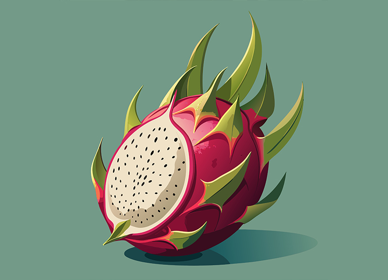 The Dragonfruit’s Lament