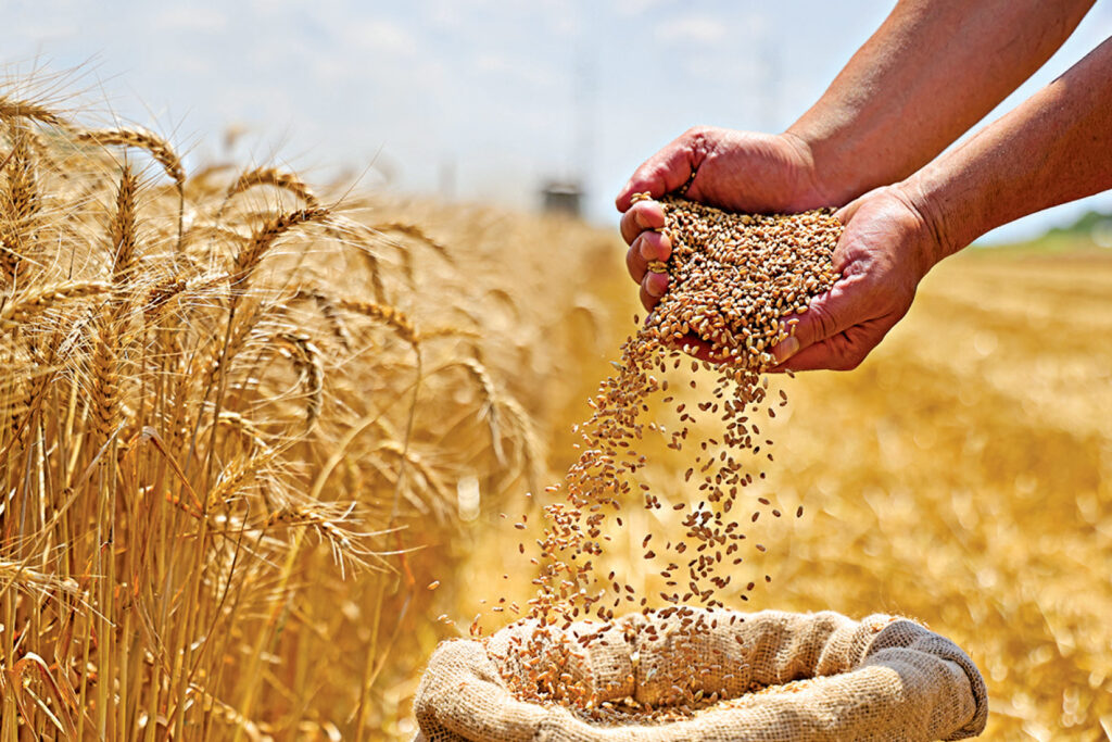 Tutti-Frutti Cookies