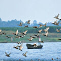 Bihar Lake Gets Ramsar Recognition