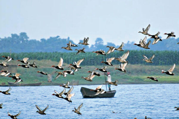 Bihar Lake Gets Ramsar Recognition