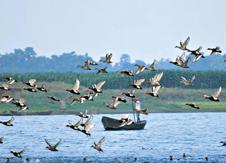 Bihar Lake Gets Ramsar Recognition