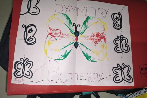 Butterfly Symmetry Art