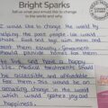 Bright Sparks: Tell Us What You Would Like to Change in the World and Why