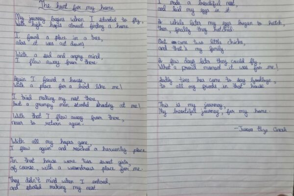 The Hunt for My Home