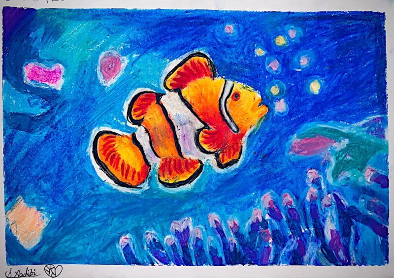 Nemo Fish