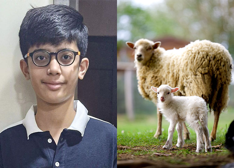 RobinAge Cover Story - Protecting Animals